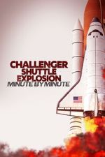 Watch Challenger Shuttle Disaster: Minute by Minute Movies123