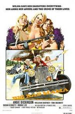 Watch Big Bad Mama Movies123