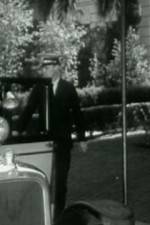 Watch Night Life in Reno Movies123