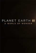 Watch Planet Earth II: A World of Wonder Movies123