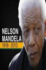 Watch Nelson Mandela: The Final Chapter Movies123