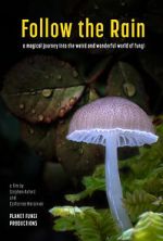 Watch Follow the Rain Movies123