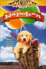 Watch Napoleon Movies123