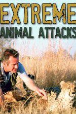Watch Extreme Animal Attacks Movies123