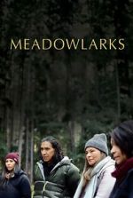 Watch Meadowlarks Movies123