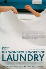 Watch The Laundromat Movies123