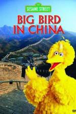 Watch Big Bird in China Movies123