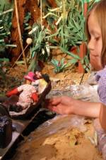 Watch I Wish I Went to Ecuador Movies123