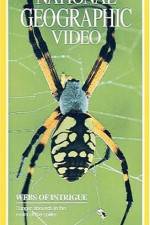 Watch National Geographic's Webs of Intrigue Movies123