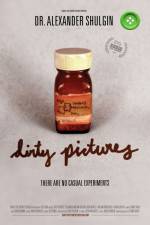 Watch Dirty Pictures Movies123