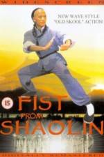 Watch Huang Fei Hong zhi nan er dang bao guo Movies123