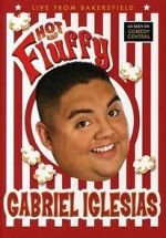 Watch Gabriel Iglesias: Hot and Fluffy Movies123