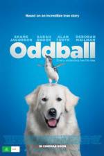 Watch Oddball Movies123