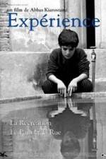 Watch The Experience Movies123