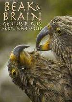 Watch Beak & Brain - Genius Birds from Down Under Movies123