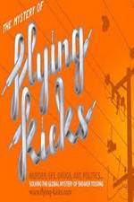 Watch The Mystery of Flying Kicks Movies123