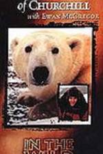 Watch The Polar Bears of Churchill with Ewan McGregor Movies123