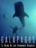 Watch Galapagos: Realm of Giant Sharks Movies123
