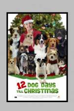 Watch 12 Dog Days of Christmas Movies123