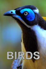 Watch Birds (Short 2021) Movies123