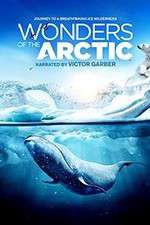 Watch Wonders of the Arctic 3D Movies123