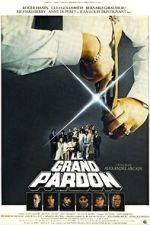 Watch The Big Pardon Movies123