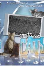 Watch Shorts for Cats Movies123