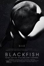 Watch Blackfish Movies123