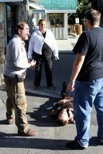 Watch Dead Stop Movies123