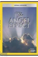Watch National Geographic Explorer - The Angel Effect Movies123