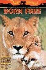 Watch Born Free Movies123
