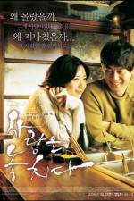 Watch Lost in Love Movies123