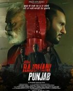 Watch Rajdhani Punjab Movies123