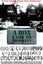 Watch A Box Came to Brooklyn Movies123