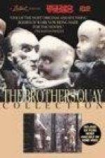 Watch The Comb Movies123