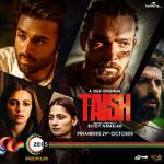 Watch Taish Movies123