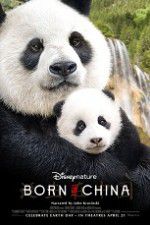 Watch Born in China Movies123