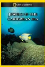 Watch National Geographic Jewels of the Caribbean Sea Movies123