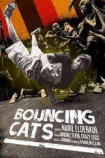 Watch Bouncing Cats Movies123