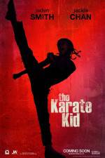 Watch The Karate Kid Movies123