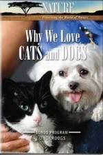 Watch Why We Love Cats And Dogs Movies123