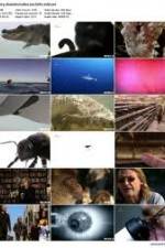 Watch History Channel Evolve: Sex Movies123