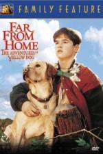 Watch Far from Home The Adventures of Yellow Dog Movies123
