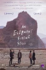 Watch An Elephant Sitting Still Movies123