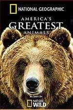 Watch America's Greatest Animals Movies123