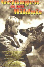 Watch Call of the Wild Movies123