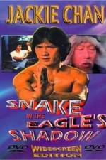 Watch Bruce Vs. Snake In Eagle's Shadow Movies123