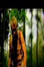 Watch The Legend of David Movies123