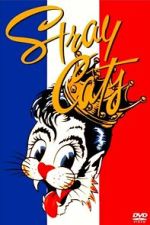Watch Stray Cats Rock Paris Movies123