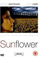 Watch Sunflower Movies123